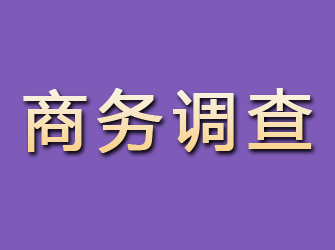 东西湖商务调查